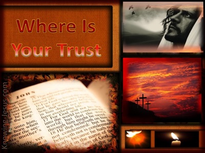 Where is Your Trust?